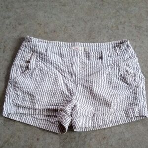 Vineyard Vines Women's Shorts 4